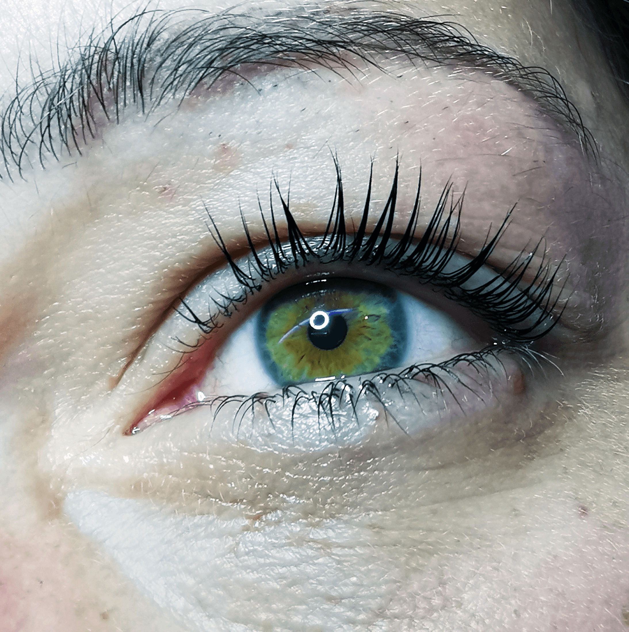 Bild von Wimpern